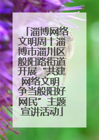 淄博网络文明周丨淄博市淄川区般阳路街道开展“共建网络文明 争当般阳好网民”主题宣讲活动